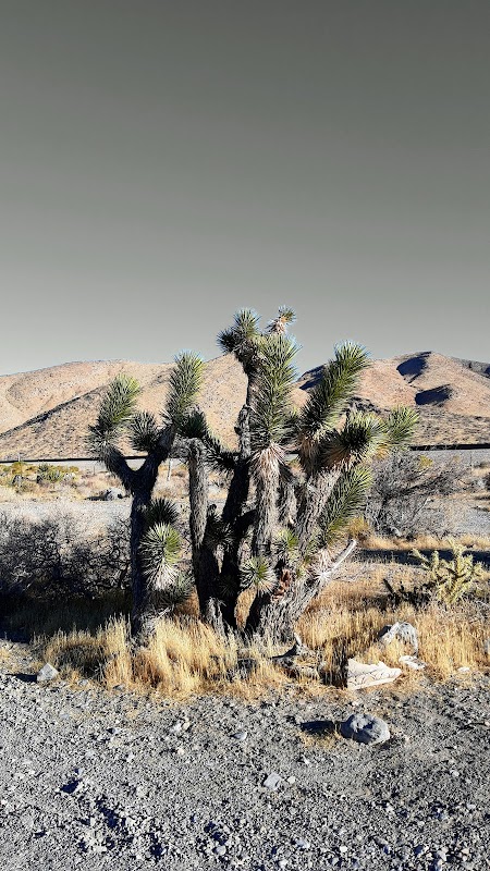 Tenaya Paseo Trailhead