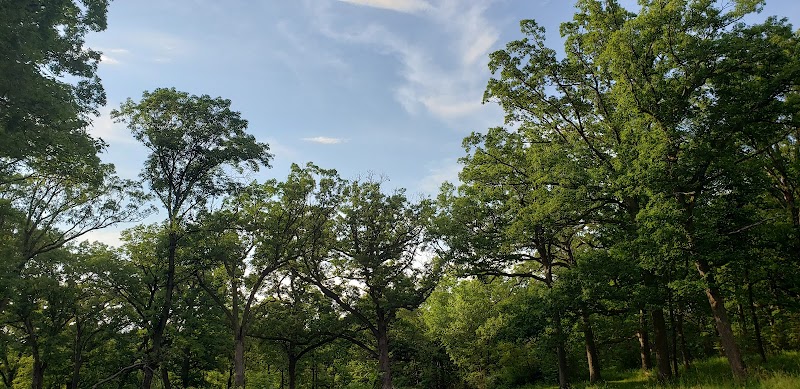 Willow Springs Woods