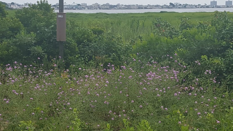 Gateway NRA - Jamaica Bay Unit