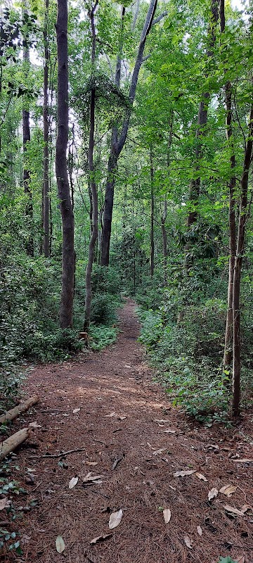 Bluethenthal Wildflower Preserve