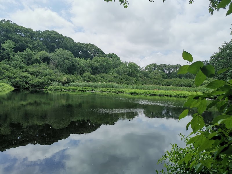 Makamah Nature Preserve