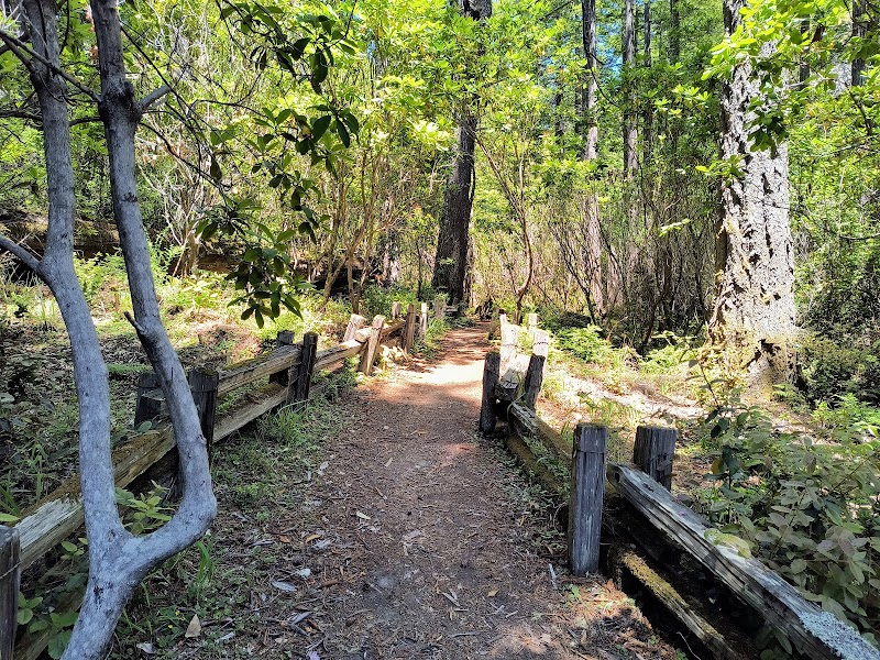 Kruse Rhododendron State Natural Reserve