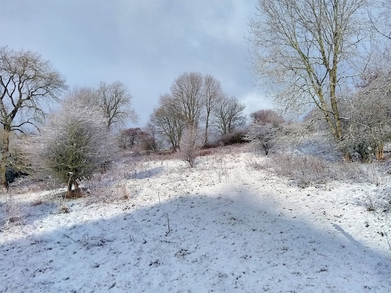 Greenfields Local Nature Reserve
