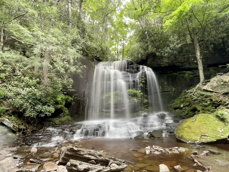 Neversink River Unique Area