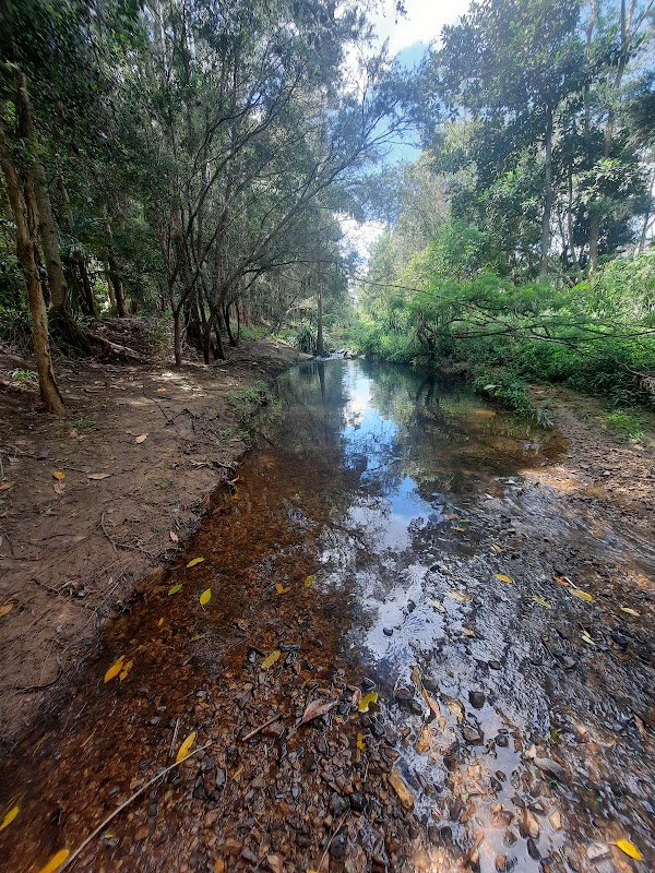 Greenslopes DCP Site