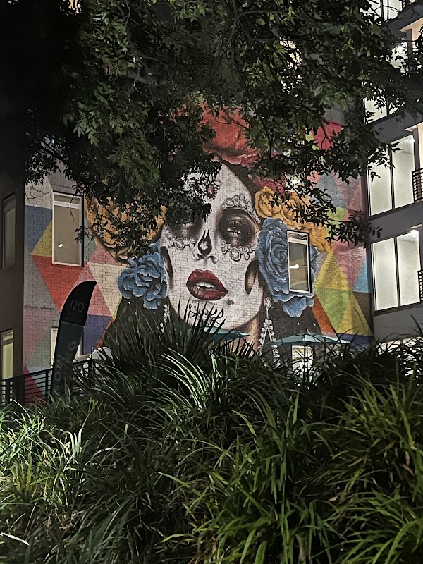 San Antonio Bat Colony