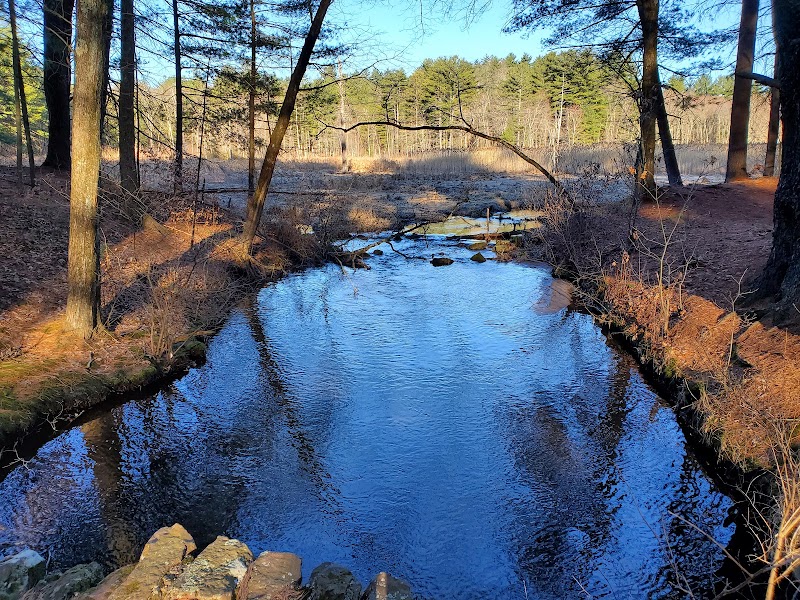 Fisher Farm Open Space
