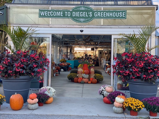 Diegel's Greenhouse