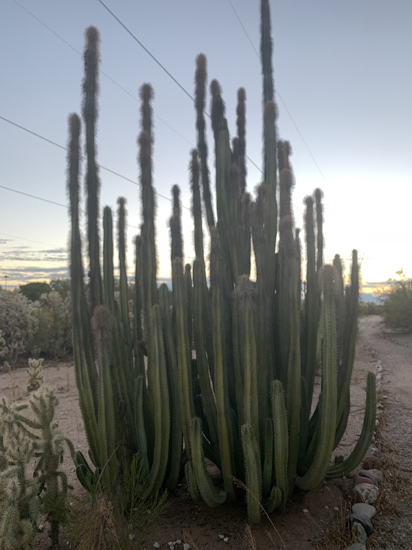 Dreamland Villa Desert Nature Trail