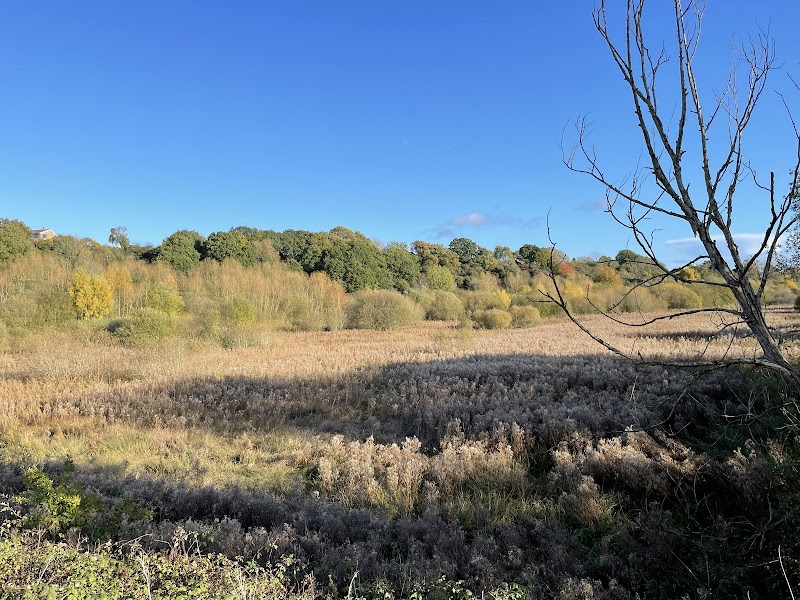 Old River Bed