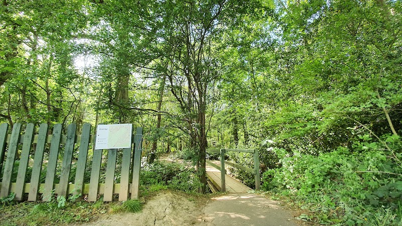 Stanney Woods (Stroma Gate)