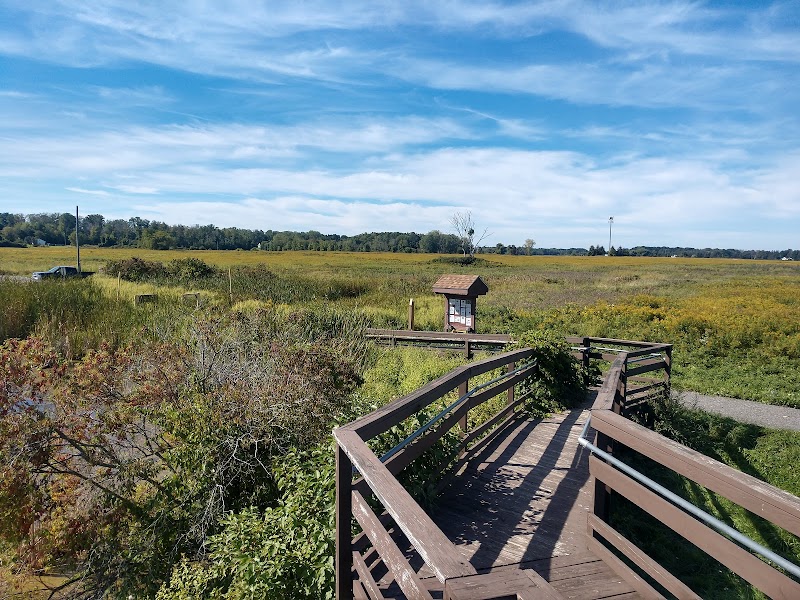 Braddock Bay Wildlife Management Area