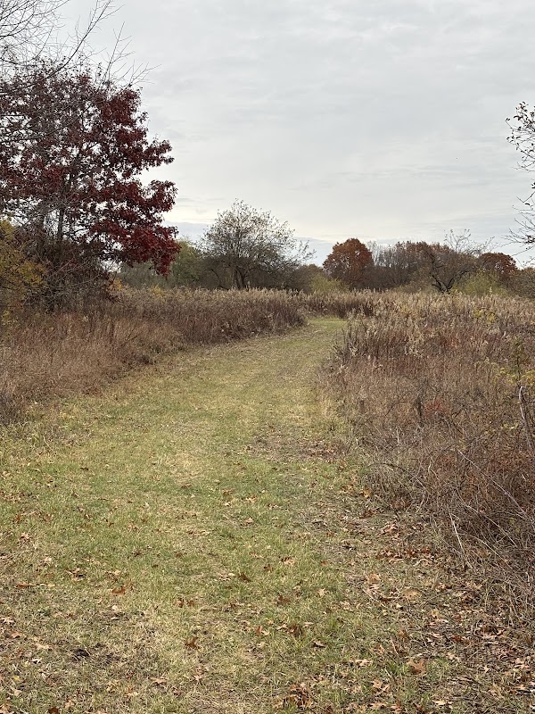 Fox Nature Preserve