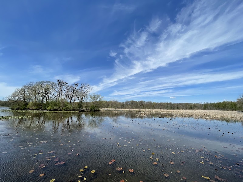 Heron Rookery Island