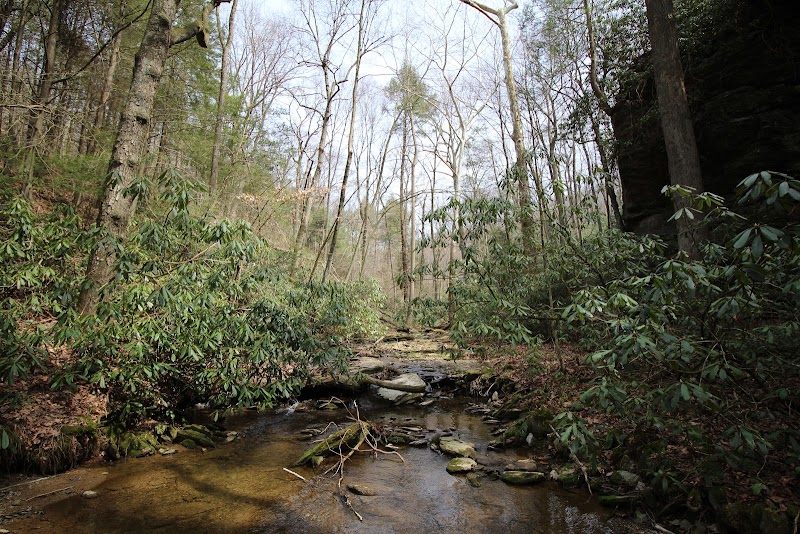 Holtwood Nature Preserve