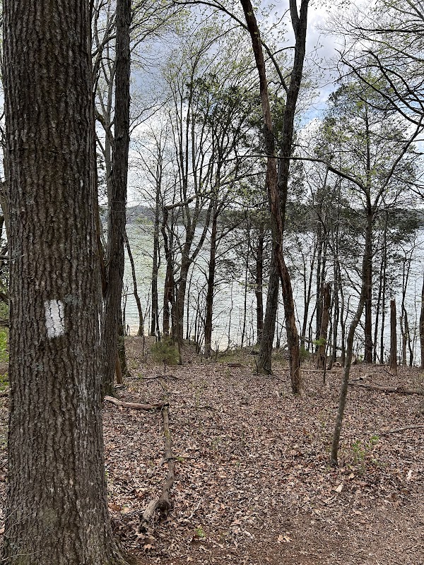 Coytee Road Parking and Trailhead