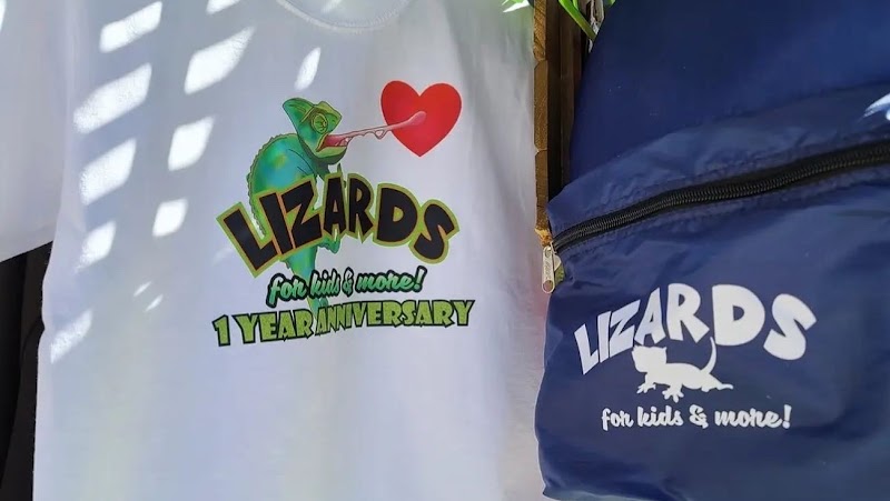 Lizards For Kids And More