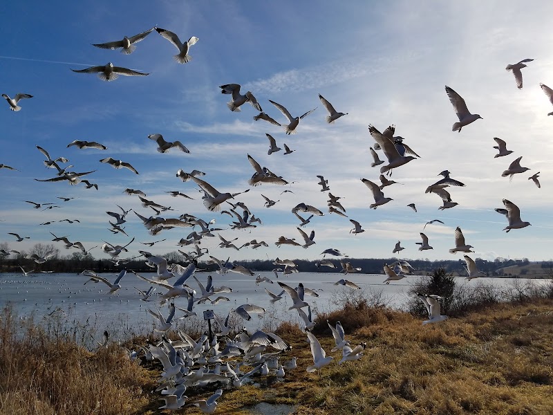 Church Road Bird Sanctuary