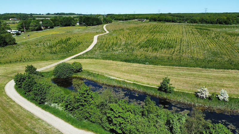 Denmark