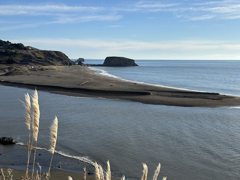 Harbor Seal Nursery