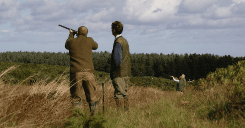 The Big Shoot – Clay Pigeon Experiences