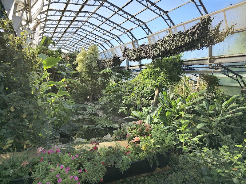 London Butterfly Gardens