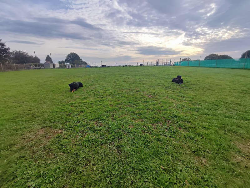 Rodington Secure Dog Park