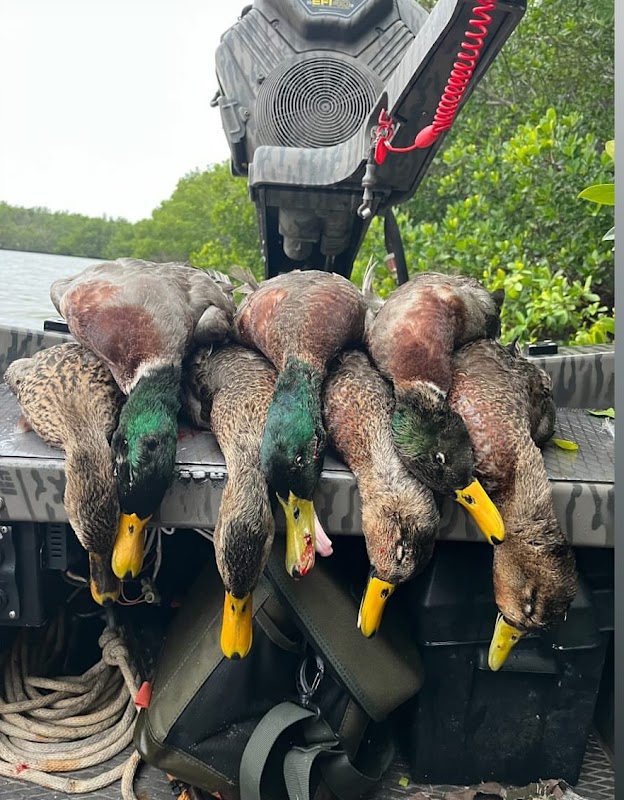 Feet Down Outfitters