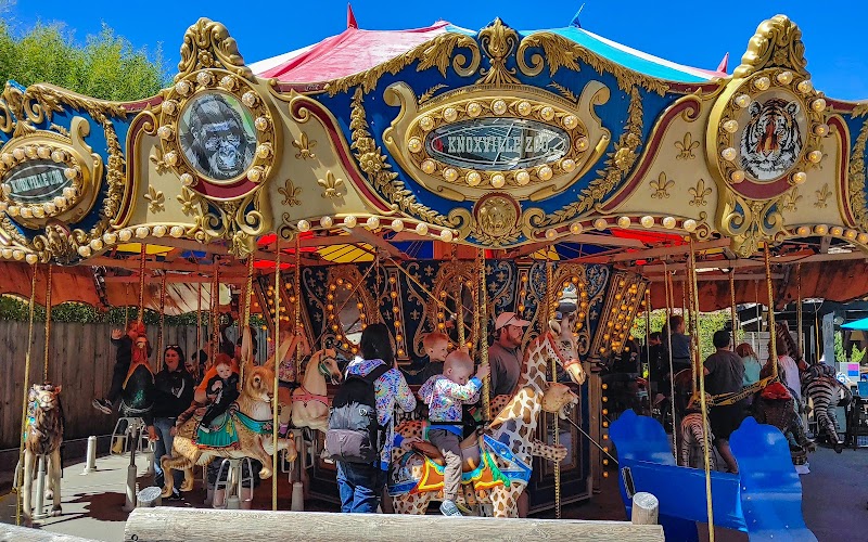 Clayton Family Kids Cove