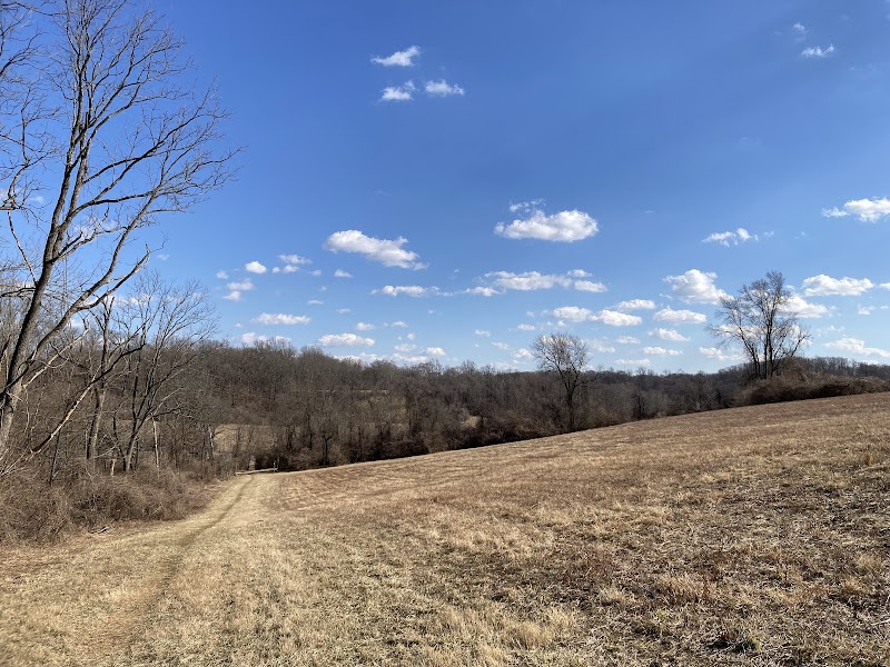 Darlington Valley Open Space