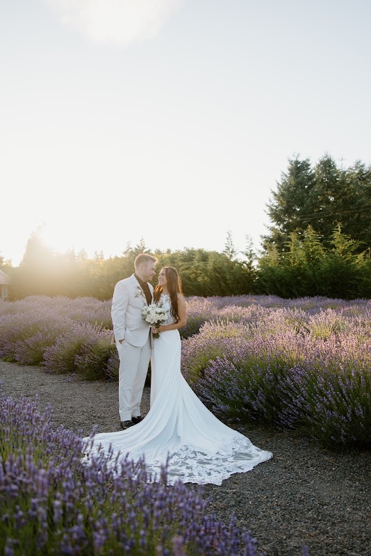 Castle Rock Lavender