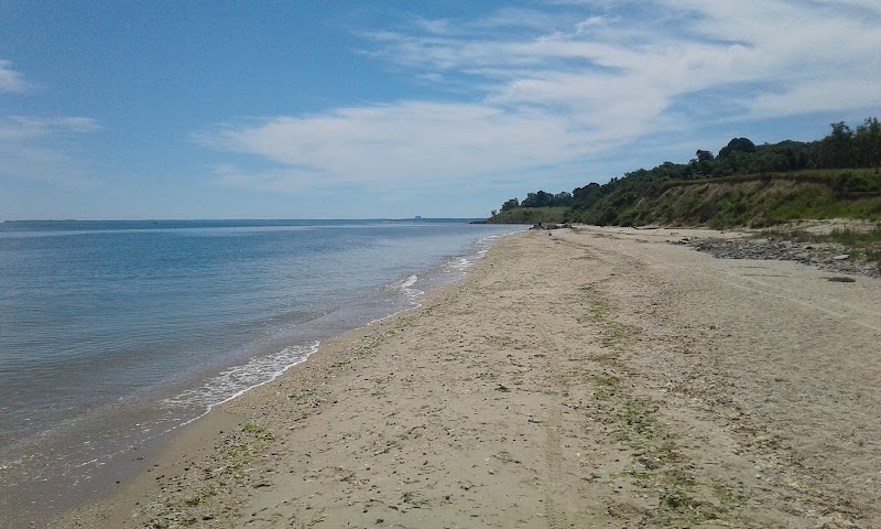 Jerome A. Ambro Memorial Wetland Preserve