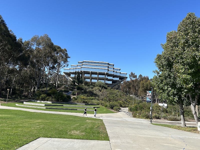 UCSD Bear Statue