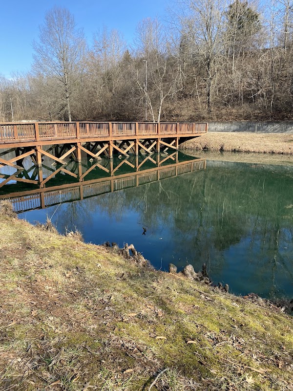 Turtle Pond