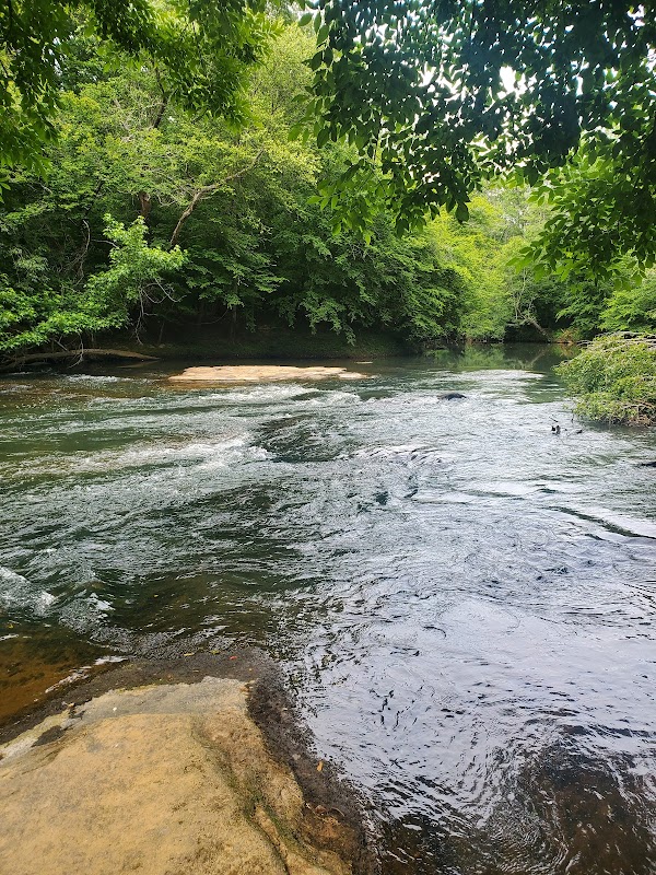 Greenville Technical College Nature Trail