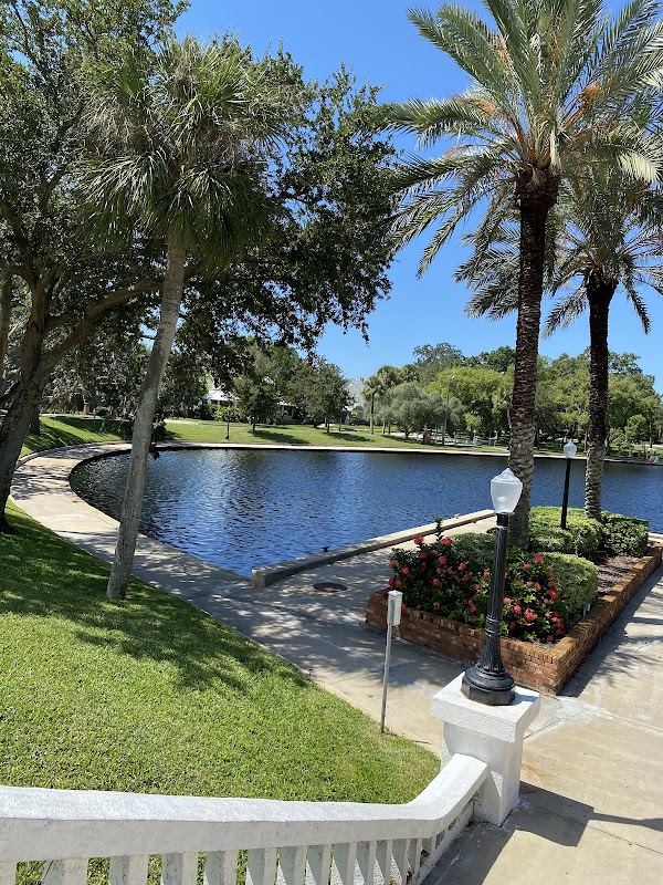 TARPON(Spring) Bayou crystal Lake