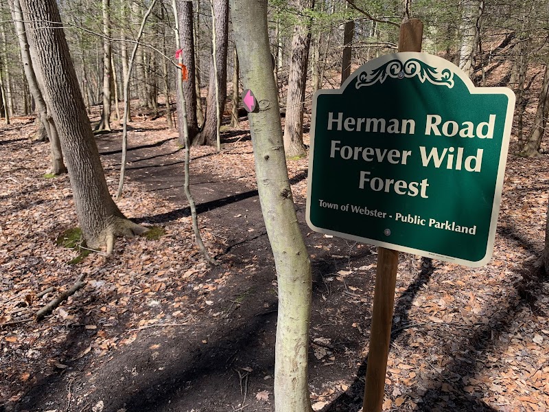 Herman Road Forever Wild Forest