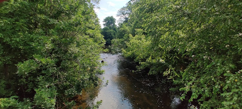 Little Sugar Creek- Tanbark Place