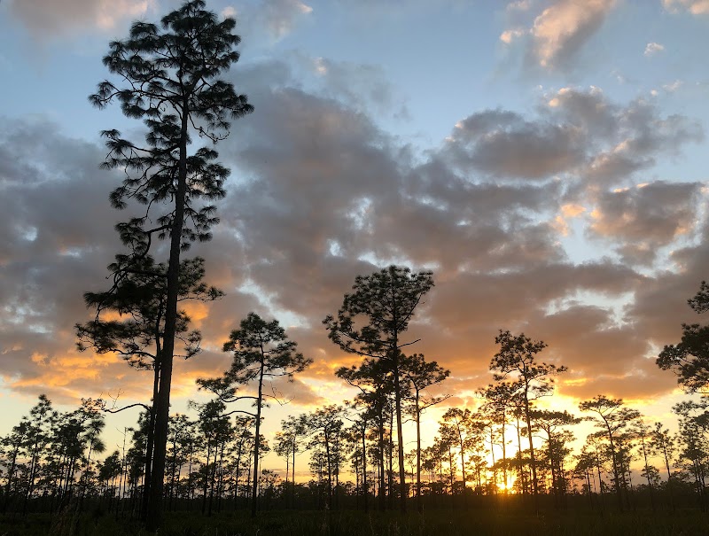 The Nature Conservancy's Disney Wilderness Preserve