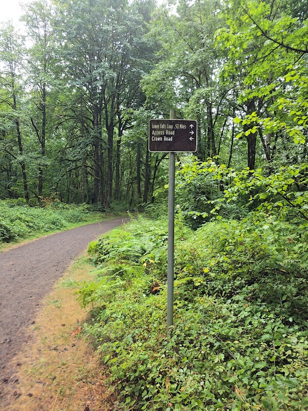 Lacamas park trail