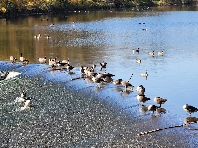 Tyler Park - South Entrance
