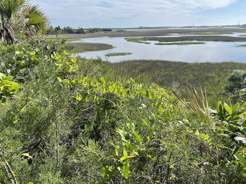 Theodore Rosevelt park