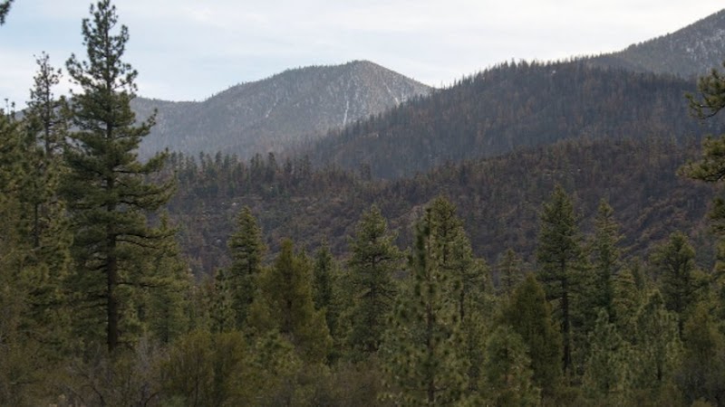 Crest Park Picnic Area