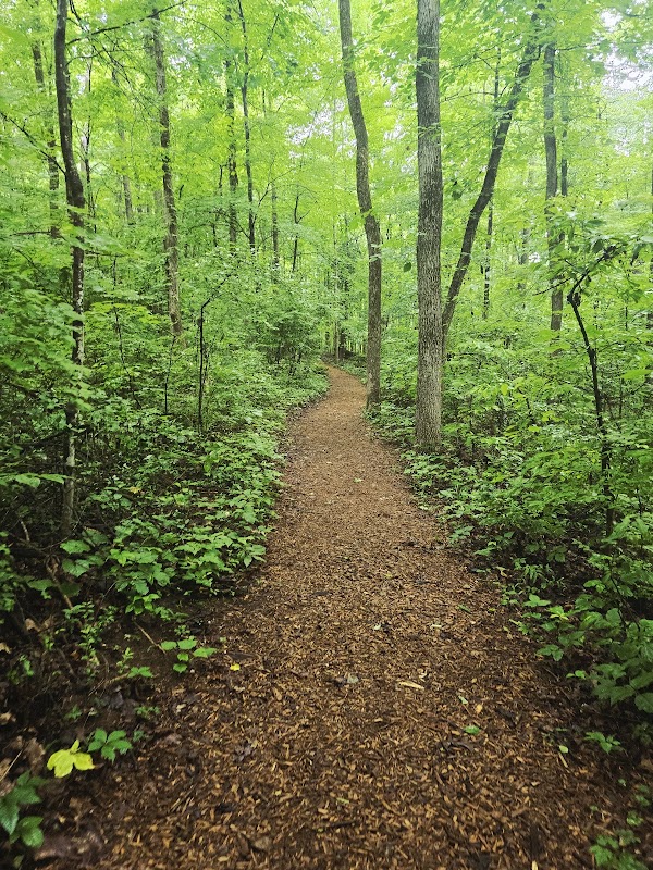 Cumberland Estates Park