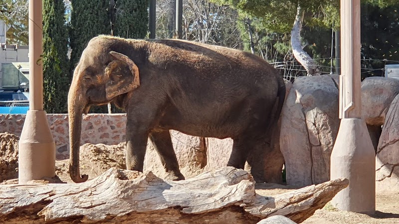 El Paso Zoo and Botanical Gardens