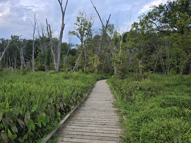 West Bay Observation Deck