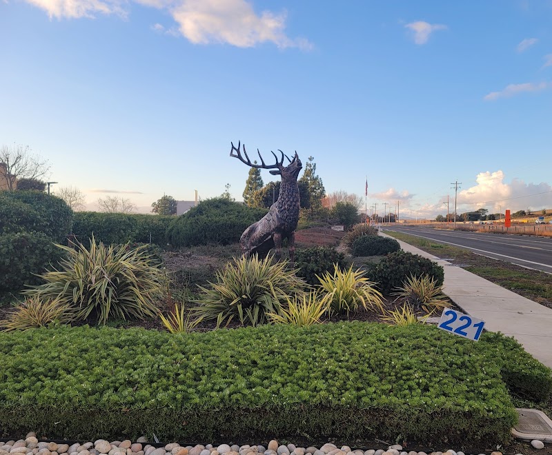 Moose Statue in Napa