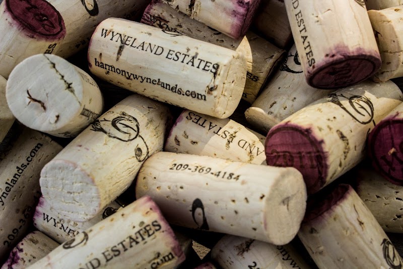 Harmony Wynelands Winery