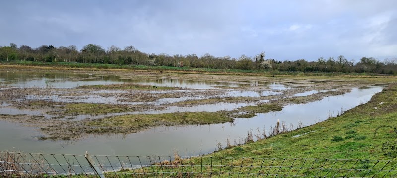 North Lake Bird hide