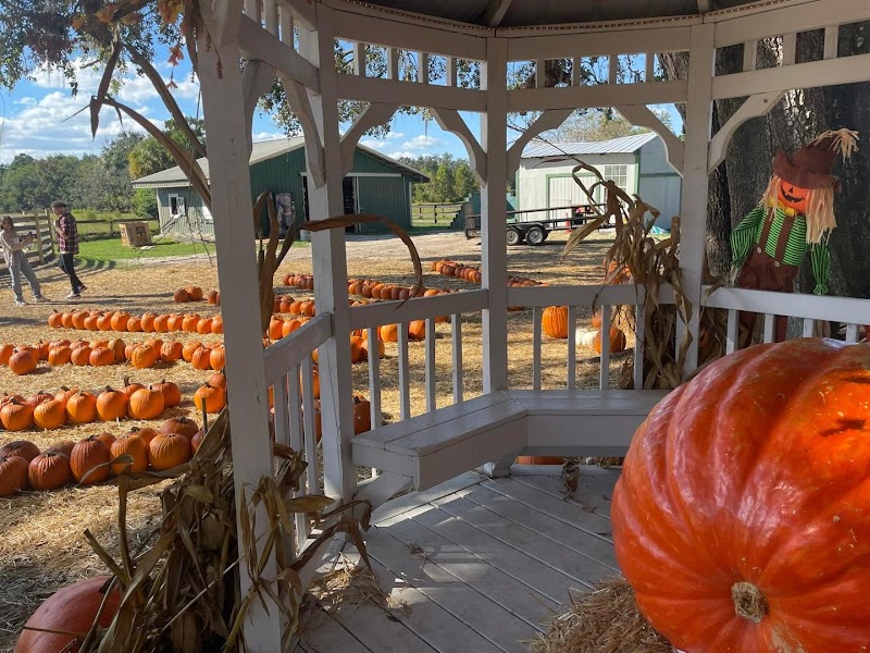 Painted Oaks Academy